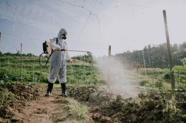 Best Commercial Pest Control Services  in Nesquehoning, PA