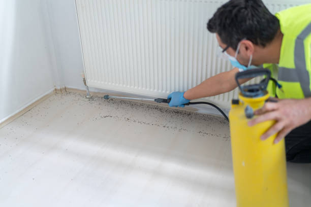 Best Exterminator Services  in Nesquehoning, PA